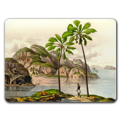 Seychelles Sottopiatto Rettangolare