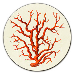 Africhella Corallo Sottobicchiere Rotondo- Ø cm 9,5