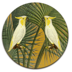 Samoa Cacatua Pappagalli Sottopiatto Rotondo – Ø cm 34 e 39