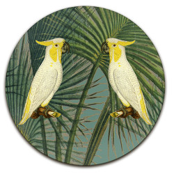 Samoa Cacatua Pappagalli Sottopiatto Rotondo – Ø cm 34 e 39