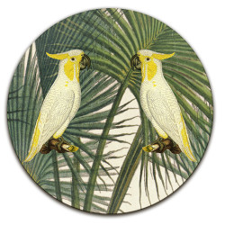 Samoa Cacatua Pappagalli Sottopiatto Rotondo – Ø cm 34 e 39
