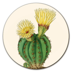 Cayman Cactus Sottopiatto Rotondo – Ø cm 34 e 39