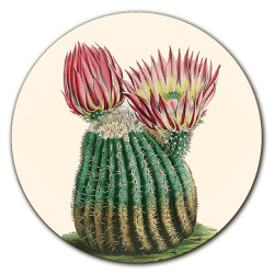 Cayman Cactus Sottopiatto Rotondo– Ø cm 34 e 39