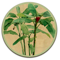 Samar Sottopiatto Rotondo – Ø cm 34 e 39