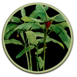 Samar Sottopiatto Rotondo – Ø cm 34 e 39