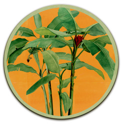 Samar Sottopiatto Rotondo – Ø cm 34 e 39