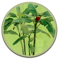 Samar Sottopiatto Rotondo – Ø cm 34 e 39