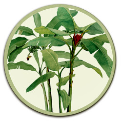 Samar Sottopiatto Rotondo – Ø cm 34 e 39