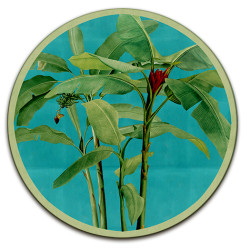 Samar SOTTOBOTTIGLIA - Ø cm 16 - 20 - 16 cm