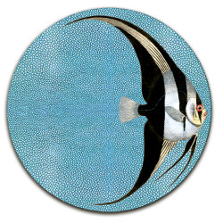 Shagreen Pesci Centrotavola - Ø cm 16 - 20 - 20 cm