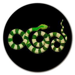 Montecristo Serpenti Centrotavola - Ø cm 16 - 20 - 20 cm