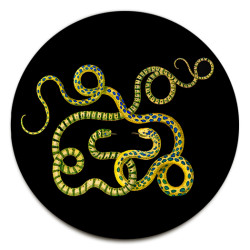 Montecristo Serpenti SOTTOBOTTIGLIA - Ø cm 16 - 20 - 16 cm