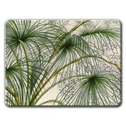 Palmarola Palme Sottopiatto Rettangolare