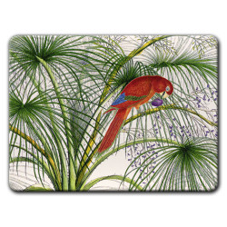Alicudi Pappagalli Sottopiatto Rettangolare