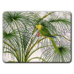 Alicudi Pappagalli Sottopiatto Rettangolare