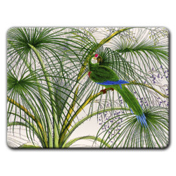 Alicudi Pappagalli Sottopiatto Rettangolare