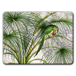 Alicudi Pappagalli Sottopiatto Rettangolare