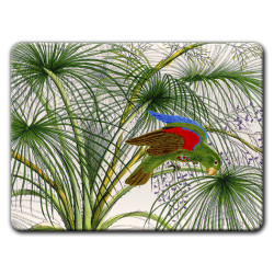 Alicudi Pappagalli Sottopiatto Rettangolare