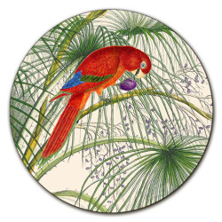 Alicudi Pappagalli Centrotavola - Ø cm 16 - 20 - 20 cm