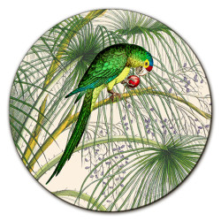 Alicudi Pappagalli SOTTOBOTTIGLIA - Ø cm 16 - 20 - 16 cm