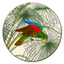 Alicudi Pappagalli Centrotavola - Ø cm 16 - 20 - 20 cm