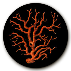 Africhella Corallo SOTTOBOTTIGLIA - Ø cm 16 - 20 - 16 cm