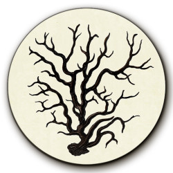 Africhella Corallo SOTTOBOTTIGLIA - Ø cm 16 - 20 - 16 cm