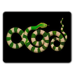 Montecristo Serpenti Sottopiatto Rettangolare