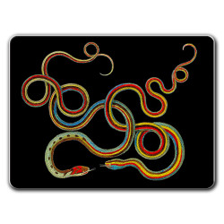 Montecristo Serpenti Sottopiatto Rettangolare