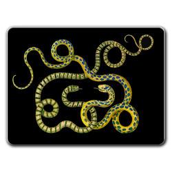 Montecristo Serpenti Sottopiatto Rettangolare