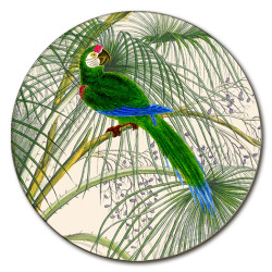 Alicudi Pappagalli Sottobicchiere Rotondo - Ø cm 9,5