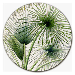 Palmarola Palme Centrotavola - Ø cm 16 - 20 - 20 cm