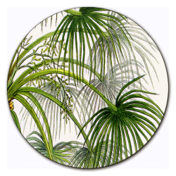 Palmarola Palme Centrotavola - Ø cm 16 - 20 - 20 cm