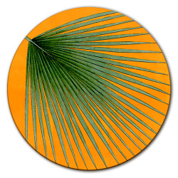 Corfù Kenzia Centrotavola - Ø cm 16 - 20 - 20 cm