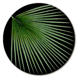 Corfù Kenzia Centrotavola - Ø cm 16 - 20 - 20 cm