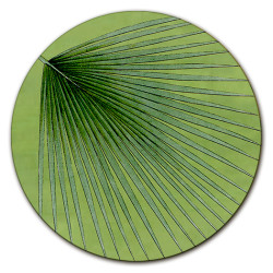 Corfù Kenzia Centrotavola - Ø cm 16 - 20 - 20 cm