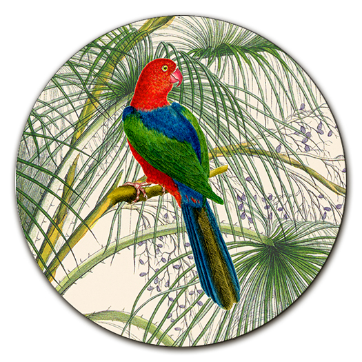 Sottopiatto con pappagallo colorato fondo palme